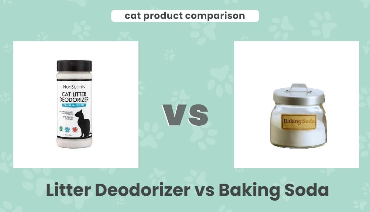 Litter Deodorizer vs Baking Soda: Our 2026 Comparison, Pros & Cons