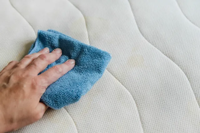 What Cleaning Products Are Safe for Cats? 10 Vet Approved Items to Keep at Home