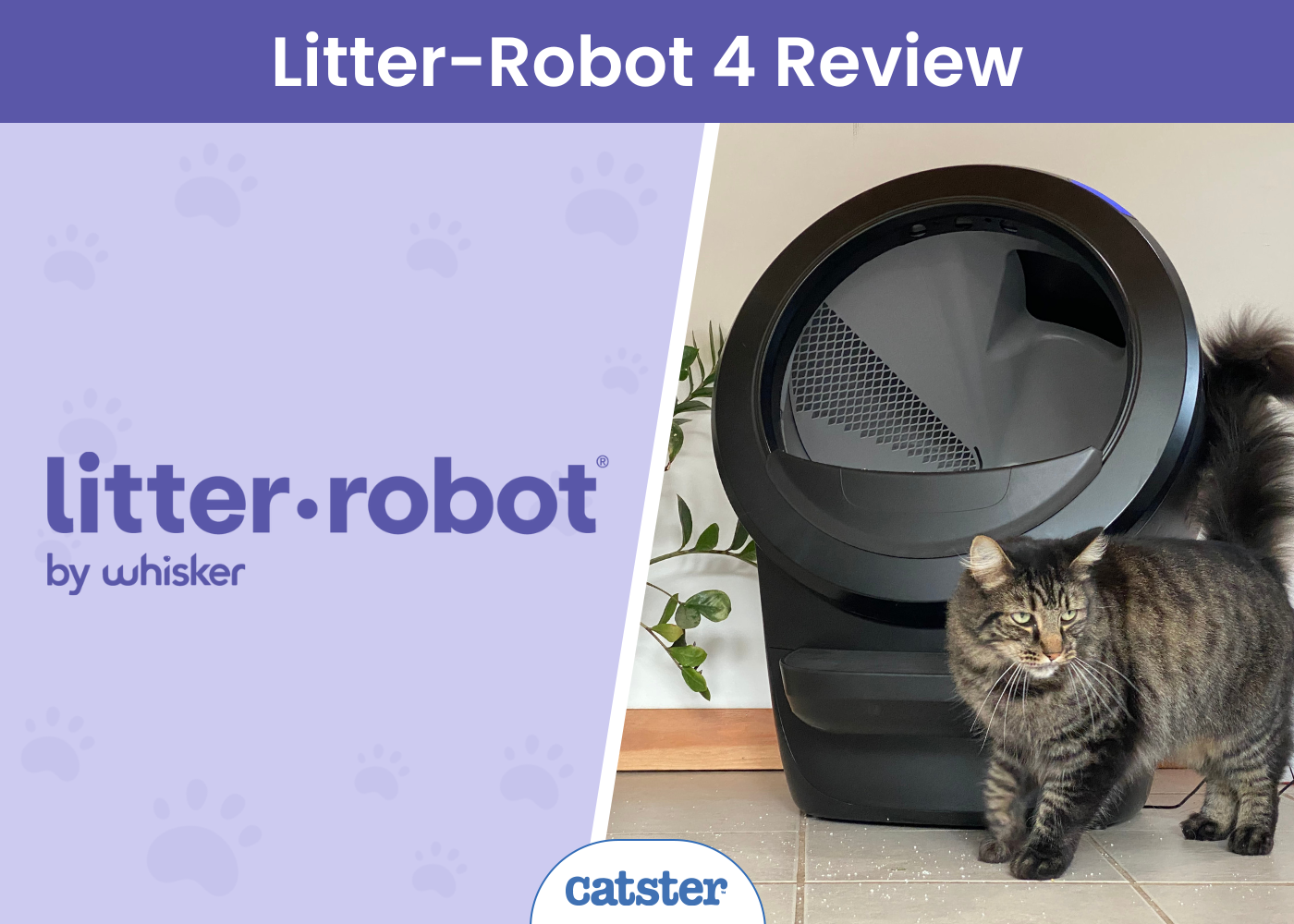 Litter Robot 4 Review - featured image
