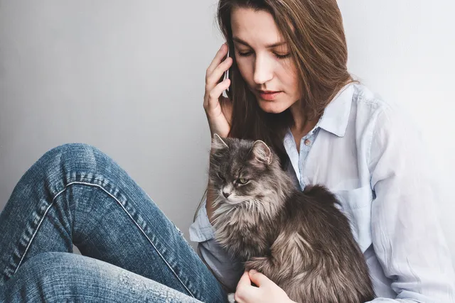 How Can I Contact a Vet If I Am in the Middle of Nowhere? 5 Ideas to Help
