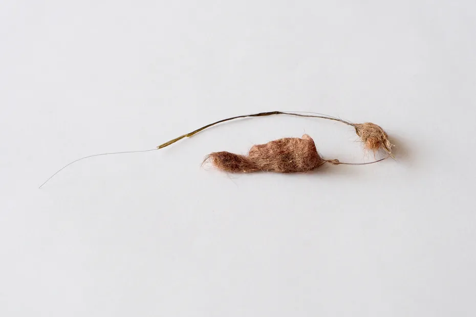 Dry cat hairball