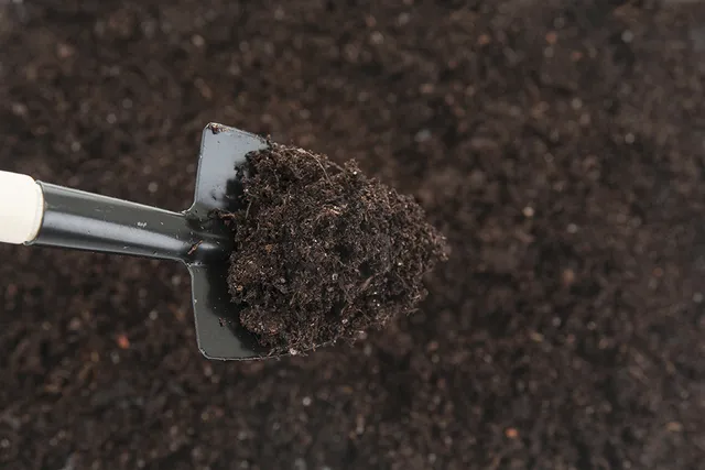 Composting Cat Poop: Vet-Verified Guide & Tips