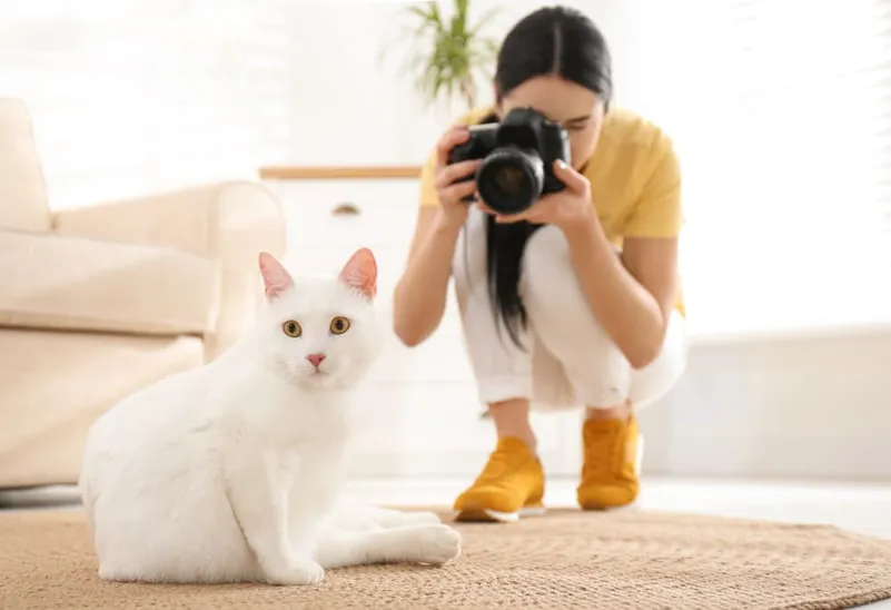 animal photographer