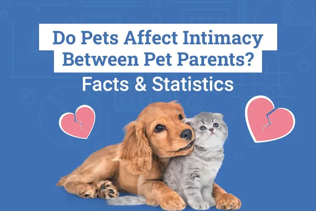 Do Pets Affect Intimacy Between Pet Parents? 2026 Survey Results