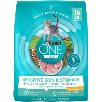 Purina ONE Sensitive Skin &amp; Stomach Dry Cat Food