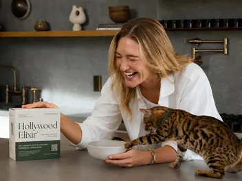 Invisible Aging In Cats: How Veterinary Geroscience Could Help Cats Live Longer, Healthier Lives