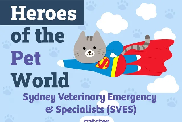 Sydney Veterinary Emergency & Specialists | Heroes of The Pet World