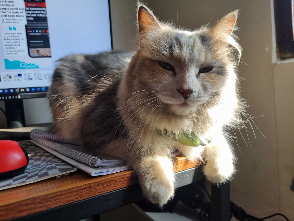 The Face of Judgement