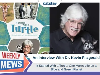 An Interview with Dr Kevin Fitzgerald - "It All Started With A Turtle" (with Video)