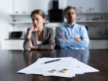 How to Help Cats Adapt to a Divorce: Vet Reviewed Techniques & Tips