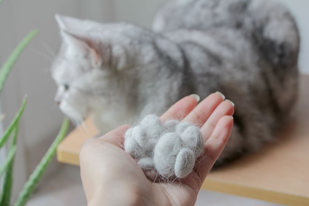 woman holding a pile of cat hair