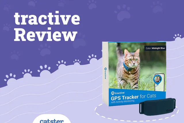 Tractive GPS Tracker for Cats Review in 2026: Our Expert’s Opinion
