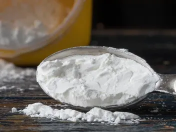 Does Cornstarch Kill Fleas on Cats? Vet Reviewed Effectiveness & Alternatives