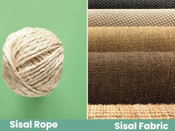 Sisal Rope vs. Sisal Fabric for Cat Scratching Posts: Vet-Reviewed Differences, Benefits & FAQ