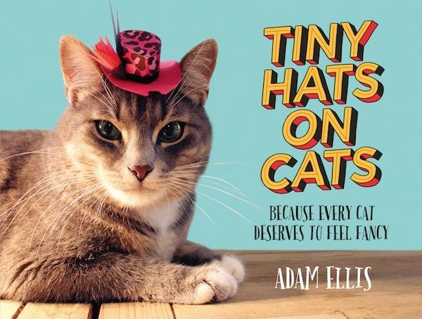Adam Ellis Talks About His Photo Book "Tiny Hats on Cats"