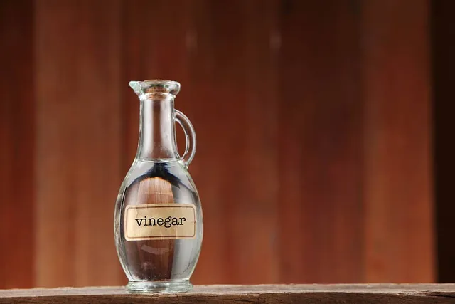 Does Vinegar Keep Cats Away? Vet-Reviewed Facts & FAQ