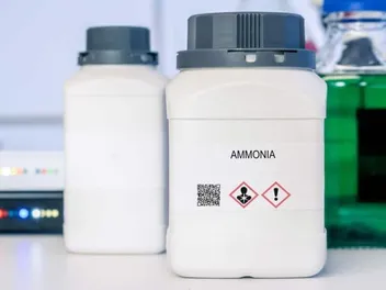 Will Ammonia Keep Cats Away? Humane & Natural Alternatives
