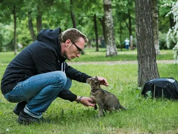 How to Show Dominance to a Cat: 10 Tips for Becoming More Assertive