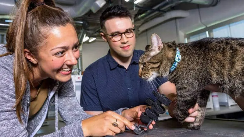 Nebraska Engineering students craft prosthetic for cat