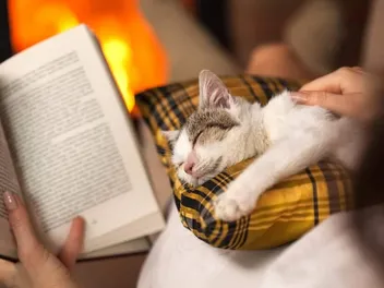 10 Paw-some Fiction Books About Cats in 2026: Our Fave Novels Starring Felines