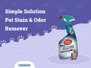 Simple Solution Pet Stain & Odor Remover Review 2026 - Pros, Cons, & Verdict