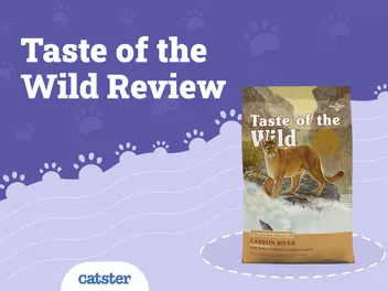 Taste of the Wild Cat Food Review of 2026: Recalls, Pros & Cons