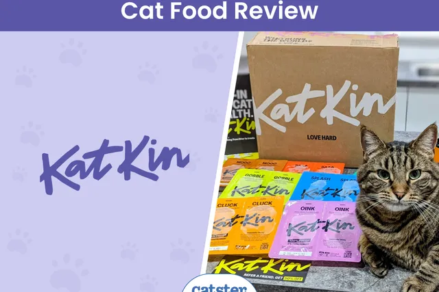 KatKin Fresh Cat Food Review 2026: Our Vet's Opinion