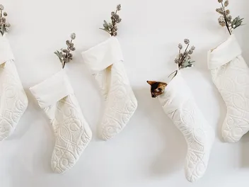5 Adorable DIY Cat Christmas Stockings to Make Today (With Pictures)