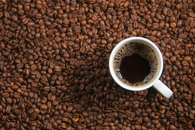 My Cat Drank Coffee! Here’s What to Do (Vet Answer)
