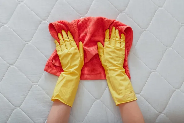 How to Get Cat Pee Smell & Stains Out of a Mattress in 5 Easy Steps