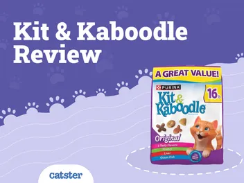 Kit & Kaboodle Cat Food Review of 2026: Recalls, Pros & Cons