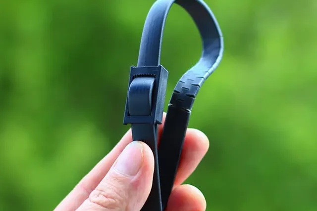 Can You Use Dog Flea Collars on Cats? (Vet Answer)