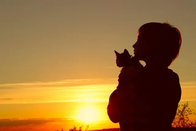 25+ Cat Loss Quotes: Grieving & Coping with Pet Loss