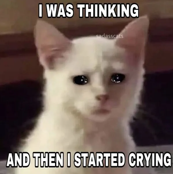 Overthinking Cat