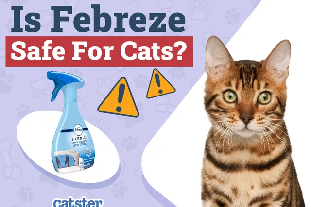 Is Febreze Safe for Cats? Precautions & Alternatives