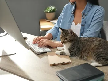Does Watching Cat Videos Improve Your Health? What Science Suggests!