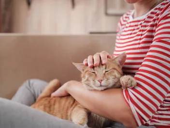 Why Does My Cat Comfort Me When I Cry? 5 Vet-Reviewed Ways They Cheer Us Up