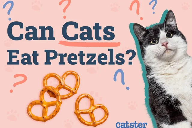 Can Cats Eat Pretzels? Vet-Verified Nutrition Facts & Risks