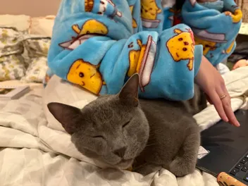Cats and the Art of Hygge: Raphy Cuddles Up