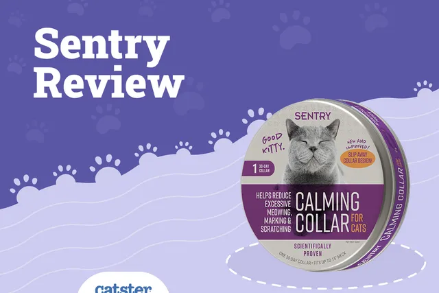 Sentry Calming Collar for Cats Review 2026: Pros, Cons & FAQ