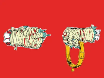 We Review the World's First Cat-Rap Album, "Meow the Jewels"