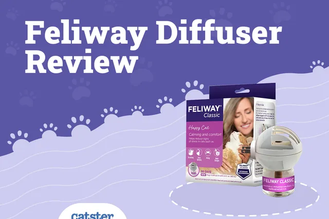 Feliway Cat Diffuser Review in 2026: Recalls, Pros & Cons