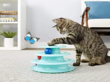 9 Best Interactive Cat Toys of 2026 - Reviews & Top Picks (Vet-Approved)