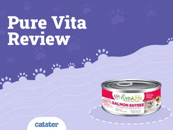 Pure Vita Cat Food Review of 2026: Recalls, Pros & Cons