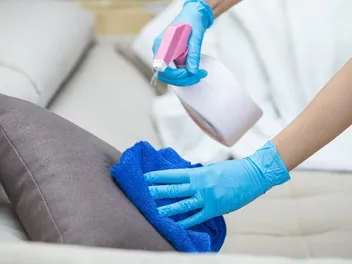 How To Clean Cat Vomit From Your Couch: 3 Quick & Easy Ways