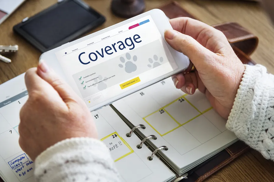 Pet Insurance Protection Compensation Concept