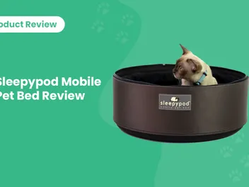 Sleepypod Mobile Pet Bed: 2026 Review