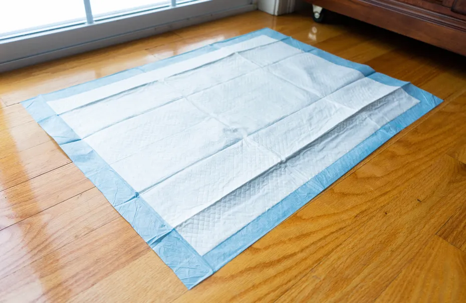 pee pad on the wooden floor