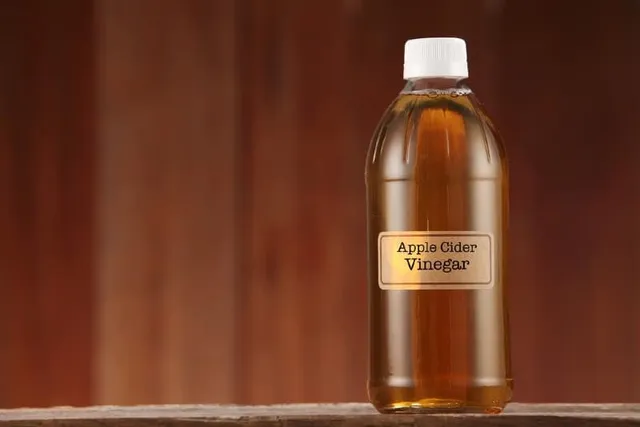 Does Apple Cider Vinegar Help Upper Respiratory Infection in Cats?