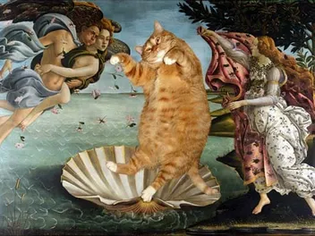 We Chat With Artist Svetlana Petrova About "Fat Cat Art"